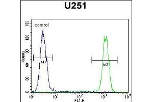 C Antibody (C-term) (ABIN654459 and ABIN2844192) flow cytometric analysis of  cells (right histogram) compared to a negative control cell (left histogram). (SLC35F6 抗体  (C-Term))