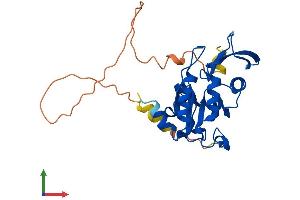 Protein Structure (PS) image for CTD (Carboxy-terminal Domain, RNA Polymerase II, Polypeptide A) Small Phosphatase 2 (CTDSP2) (AA 1-270) protein (His tag) (ABIN7558982)
