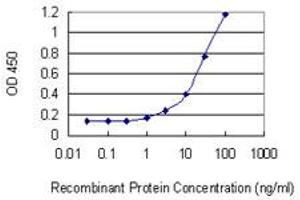 Detection limit for recombinant GST tagged NUP50 is 0. (NUP50 抗体  (AA 342-439))