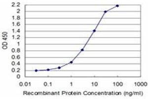 Detection limit for recombinant GST tagged TCEA3 is approximately 0. (TCEA3 抗体  (AA 1-348))