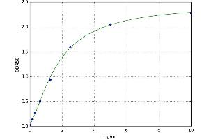 A typical standard curve (CSN2 ELISA 试剂盒)