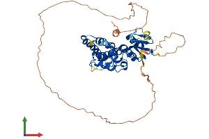 Protein Structure (PS) image for Chloride Intracellular Channel 5 (CLIC5) (AA 1-410) protein (His tag) (ABIN7553484)
