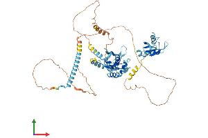 Protein Structure (PS) image for Poly-U Binding Splicing Factor 60KDa (PUF60) (AA 1-559) protein (His tag) (ABIN7555105)