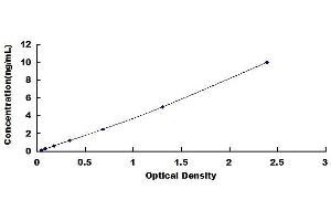 Major Histocompatibility Complex Class I C (HLA-C) ELISA Kit