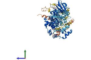 AlphaFold protein structure predicition of Human Recombinant RPS6KA2 Protein, UniprotID Q15349