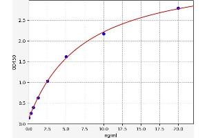Typical standard curve (Estrogen Receptor alpha ELISA 试剂盒)