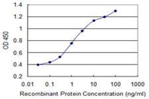 Detection limit for recombinant GST tagged PELO is 0. (PELO 抗体  (AA 291-385))