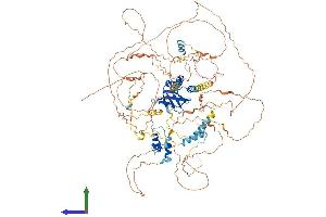 Protein Structure (PS) image for MIS18 Binding Protein 1 (MIS18BP1) (AA 1-998) protein (His tag) (ABIN7564283)