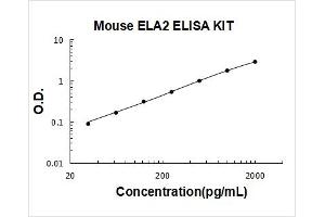 Elastase, Neutrophil Expressed (ELANE) ELISA Kit