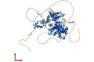 Protein Structure (PS) image for Cyclin F (CCNF) (AA 1-786) protein (His tag) (ABIN7553152)