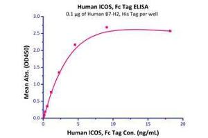 Binding Studies (Bind) image for Inducible T-Cell Co-Stimulator Ligand (ICOSLG) (AA 19-258) (Active) protein (His tag) (ABIN2181242)