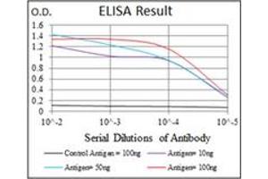 ELISA image for anti-Yes-Associated Protein 1 (YAP1) antibody (ABIN1109527) (YAP1 抗体)
