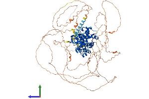 AlphaFold protein structure predicition of Human Recombinant NR3C2 Protein, UniprotID P08235