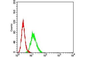 Flow Cytometry (FACS) image for anti-B-Cell CLL/lymphoma 11B (Zinc Finger Protein) (BCL11B) (AA 1-150) antibody (ABIN5611301)
