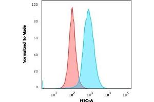Flow Cytometric Analysis of paraformaldehyde-fixed MOLT4 cells. (CD22 抗体  (AA 52-178))