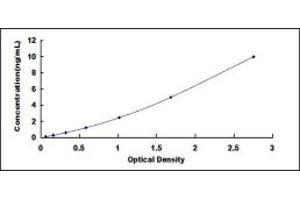 Typical standard curve (TUBB1 ELISA 试剂盒)