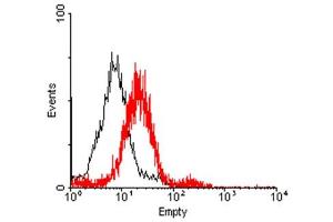 FACS: RANK transfected HEK 293 cells were stained significantly using anti-RANK (human), pAb . (TNFRSF11A 抗体)