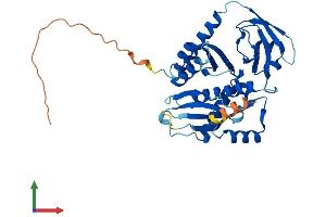 Protein Structure (PS) image for Mitochondrial Ribosomal Protein L39 (MRPL39) (AA 1-336) protein (His tag) (ABIN7561635)
