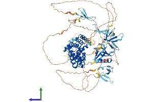 ARHGAP27 Protein (AA 1-889) (His tag)