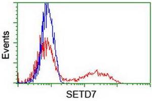 Flow Cytometry (FACS) image for anti-SET Domain Containing (Lysine Methyltransferase) 7 (SETD7) antibody (ABIN1500903) (SETD7 抗体)