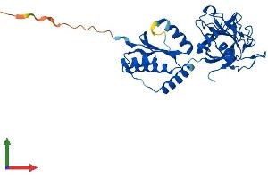 Protein Structure (PS) image for Peptidylprolyl Isomerase (Cyclophilin)-Like 6 (PPIL6) (AA 1-311) protein (His tag) (ABIN7551020)