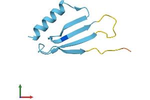 AlphaFold protein structure predicition of Human Recombinant UBE2DNL Protein, UniprotID Q8IWF7