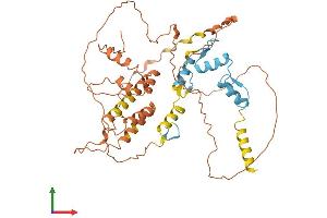 Protein Structure (PS) image for Zinc Finger and BTB Domain Containing 12 (ZBTB12) (AA 1-459) protein (His tag) (ABIN7545282)