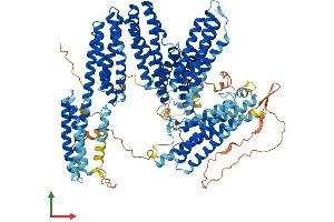 Protein Structure (PS) image for Catenin (Cadherin-Associated Protein), alpha 2 (CTNNA2) (AA 1-953) protein (His tag) (ABIN7563912)