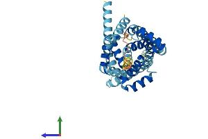 Protein Structure (PS) image for Solute Carrier Family 25, Member 47 (SLC25A47) (AA 1-310) protein (His tag) (ABIN7557935)