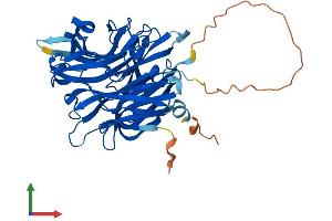 Protein Structure (PS) image for Sialidase 3 (Membrane Sialidase) (Neu3) (AA 1-418) protein (His tag) (ABIN7561714)