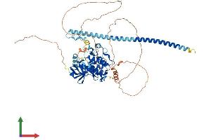Protein Structure (PS) image for Mitogen-Activated Protein Kinase Kinase Kinase 7 (MAP3K7) (AA 1-606) protein (His tag) (ABIN7554477)