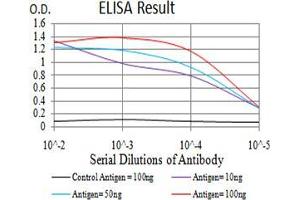 Black line: Control Antigen (100 ng);Purple line: Antigen (10ng); Blue line: Antigen (50 ng); Red line:Antigen (100 ng) (EIF5 抗体  (AA 1-300))