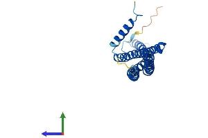 Protein Structure (PS) image for Bridging Integrator 3 (BIN3) (AA 1-253) protein (His tag) (ABIN7552587)