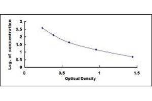 Typical standard curve (Pentosidine ELISA 试剂盒)