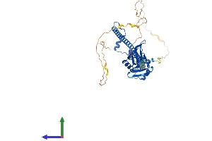 Protein Structure (PS) image for Non-POU Domain Containing, Octamer-Binding (NONO) (AA 1-473) protein (His tag) (ABIN7564883)