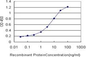 Detection limit for recombinant GST tagged PIM1 is approximately 0. (PIM1 抗体  (AA 1-100))