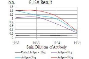Black line: Control Antigen (100 ng), Purple line: Antigen(10 ng), Blue line: Antigen (50 ng), Red line: Antigen (100 ng), (HDAC9 抗体  (AA 343-569))