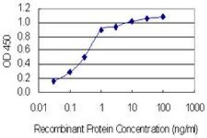 ELISA image for anti-Solute Carrier Family 37 (Glucose-6-Phosphate Transporter), Member 4 (SLC37A4) (AA 28-76) antibody (ABIN1327068)