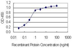 Detection limit for recombinant GST tagged SLC37A4 is 0. (SLC37A4 抗体  (AA 28-76))
