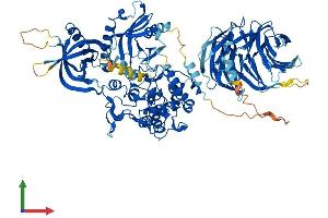AlphaFold protein structure predicition of Mouse Recombinant Nsmaf Protein, UniprotID O35242