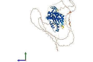 Protein Structure (PS) image for Cyclin-Dependent Kinase-Like 3 (CDKL3) (AA 1-592) protein (His tag) (ABIN7553114)