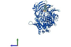 Protein Structure (PS) image for Fibroblast Activation Protein, alpha (FAP) (AA 1-761) protein (His tag) (ABIN7563542)