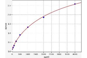 FLT4 ELISA 试剂盒