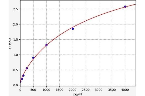 FLT4 ELISA 试剂盒