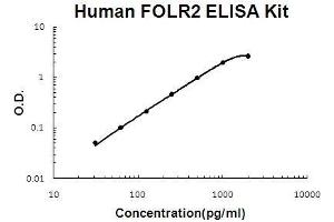Human FOLR2 PicoKine ELISA Kit standard curve