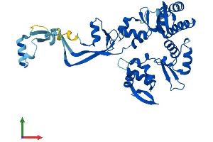 Protein Structure (PS) image for Sister Chromatid Cohesion Protein DCC1 (DSCC1) (AA 1-393) protein (His tag) (ABIN7547009)