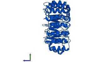 Protein Structure (PS) image for Ribonuclease/angiogenin Inhibitor 1 (RNH1) (AA 1-456) protein (His tag) (ABIN7559990)