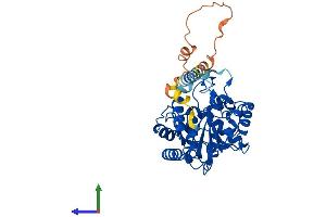 Protein Structure (PS) image for ST8 alpha-N-Acetyl-Neuraminide alpha-2,8-Sialyltransferase 3 (ST8SIA3) (AA 1-380) protein (His tag) (ABIN7555481)