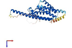 TSNAX Protein (AA 1-290) (His tag)