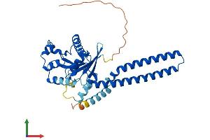 Protein Structure (PS) image for GTPase, IMAP Family Member 4 (GIMAP4) (AA 1-329) protein (His tag) (ABIN7548026)